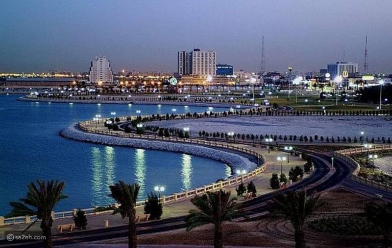 صحيفة: السعودية تدرس عرضا صينيا لبناء محطة نووية