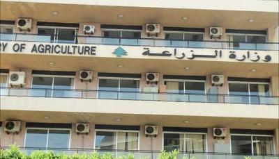 فرق من وزارة الزراعة تكشف على أسواق الجملة