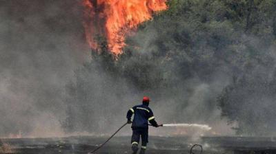 حرائق اليونان تدخل يومها العاشر.. والقتلى بالعشرات
