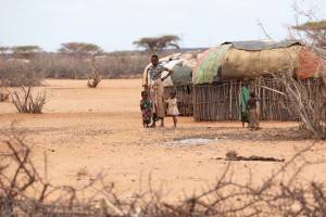 الأمم المتحدة: الصراع في أمهرة الإثيوبية يحصد المئات