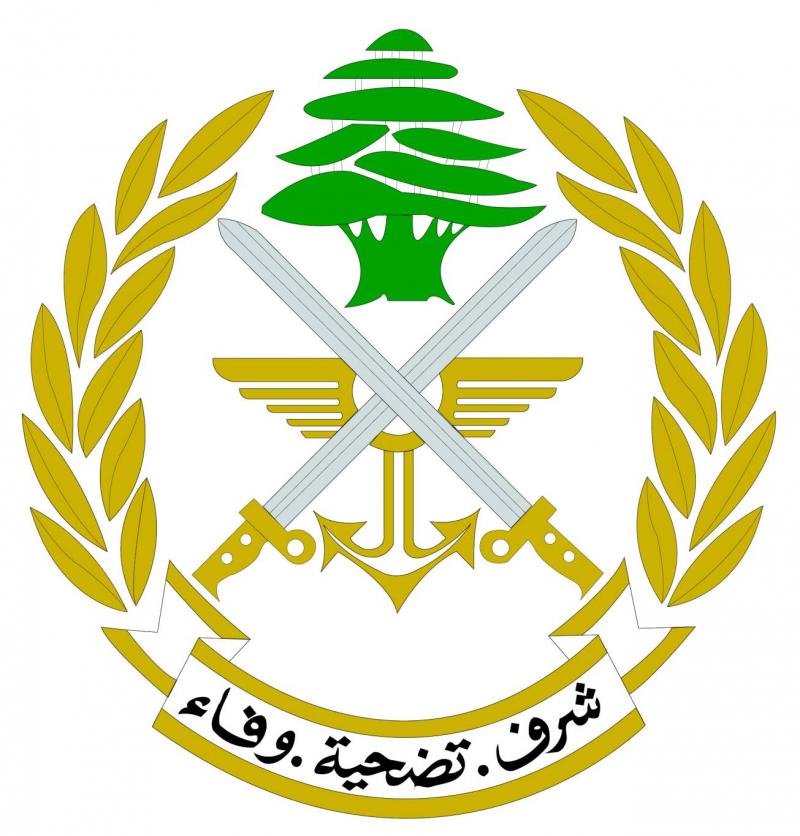 الجيش: توقيف شخصين لارتكابهما جرائم مختلفة