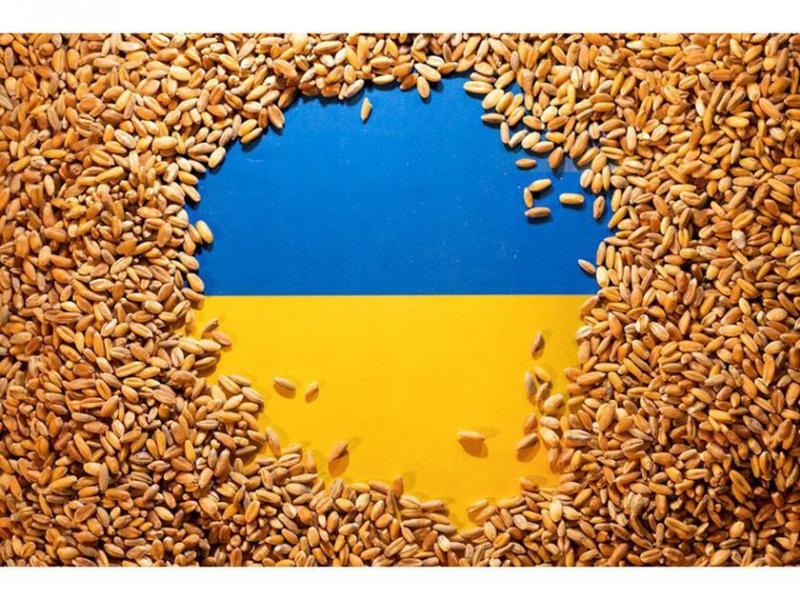 الأمم المتحدة تسعى لتقديم ضمانات لروسيا لاستئناف اتفاق الحبوب
