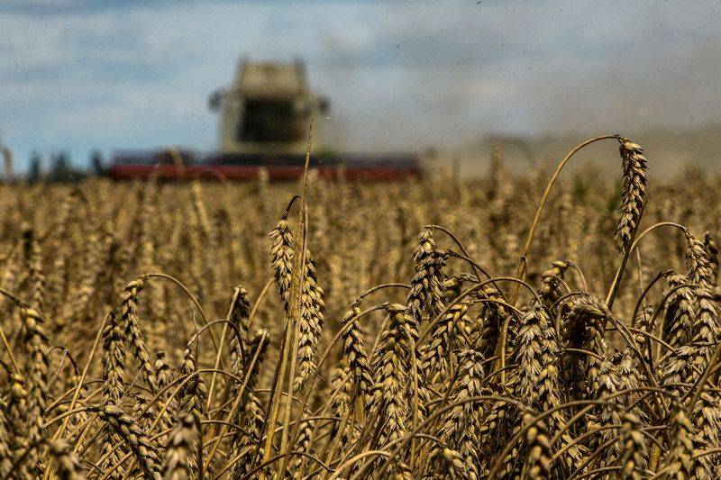 أوكرانيا تعارض تمديد القيود الأوروبية على صادراتها الزراعية
