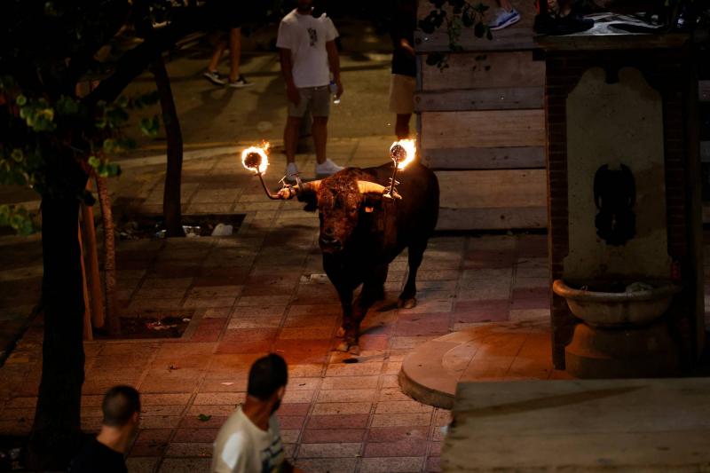 ثور يوقع قتيلًا في مهرجان الركض أمام الثيران