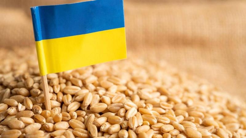 مناشدة للاتحاد الأوروبي إزاء الحبوب الأوكرانية