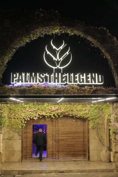 القاضية عون: مهلة مشروع PALMS تنتهي اليوم.. وكفى افتراء