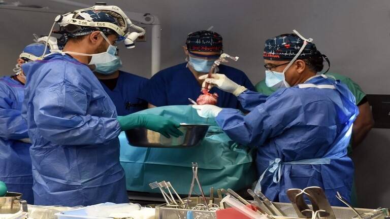 للمرة الثانية .. زرع قلب خنزير في جسد إنسان