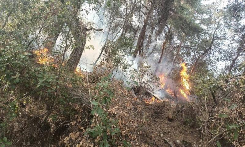 الجيش اللبناني يتدخل لإخماد حريق كبير في الدبية