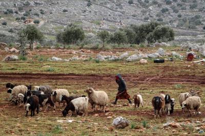 الجيش واليونيفيل يبحثان عن راعيين في الوزاني