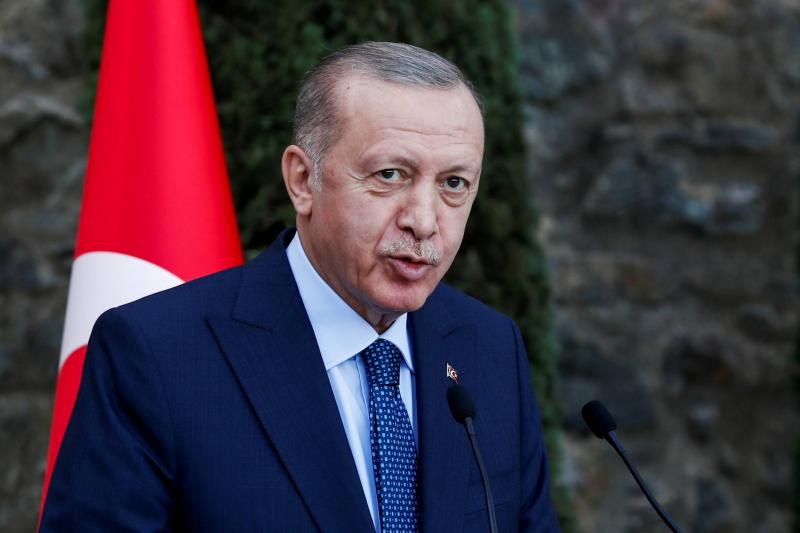 أردوغان: ناقشنا مع بلينكن إدخال مزيد من المساعدات إلى غزة