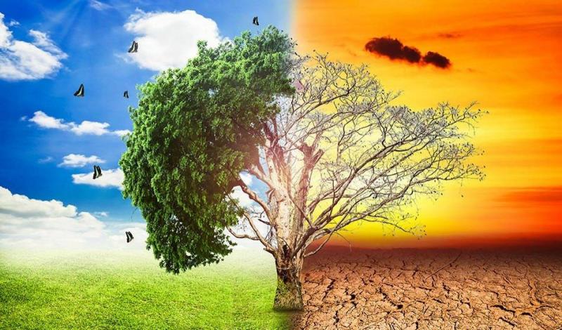 الدول الغنية أوفت بمساعدة 100 مليار دولار للتكيف مع تغير المناخ