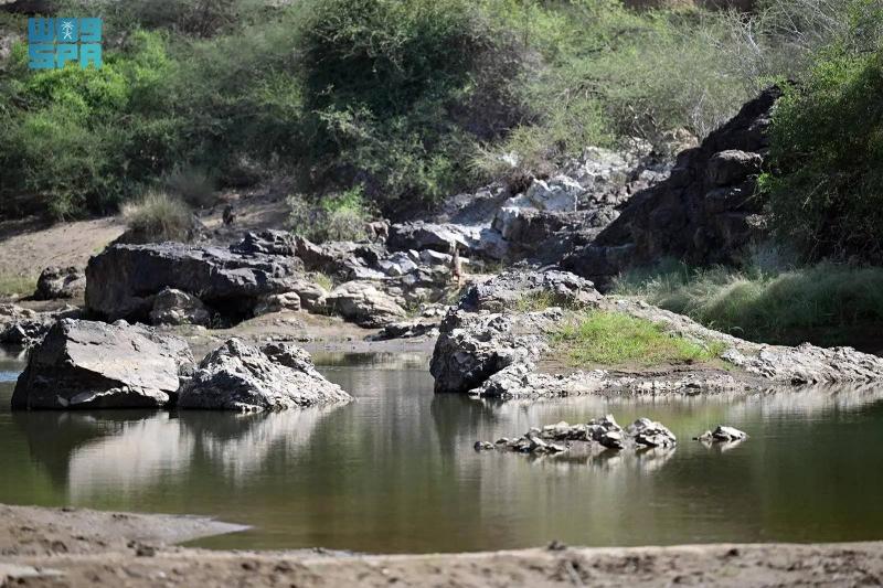 وادي بيض في محافظة الدرب .. واجهة سياحية جذابة