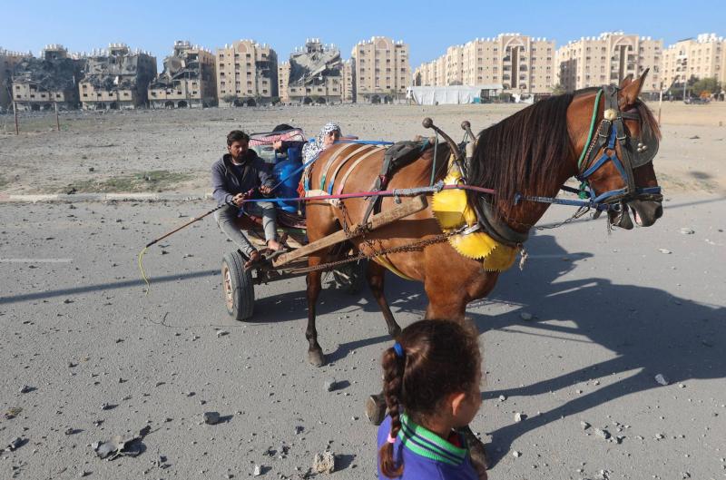 العائلات في غزة تتسول الخبز وتأكل لحم الحمير