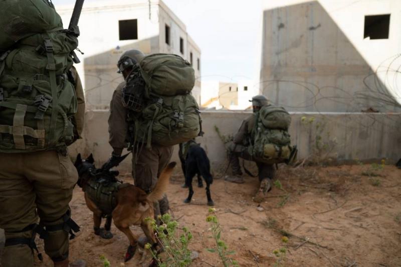 كلب للجيش الإسرائيلي وثق ما حدث بشأن مقتل 3 رهائن في غزة