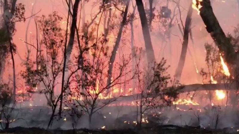أجزاء كبيرة من أستراليا تشهد موجة حارة تزيد احتمالات حرائق غابات