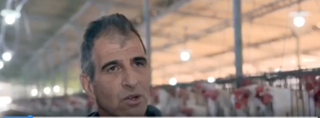 إسرائيلي يهرب من مزرعة دجاج لحظة سقوط صاروخ من لبنان (فيديو)