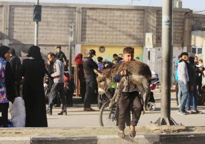 صبي فلسطيني ينقل حماره الصغير أينما دارت به بوصلة النزوح (صورة)