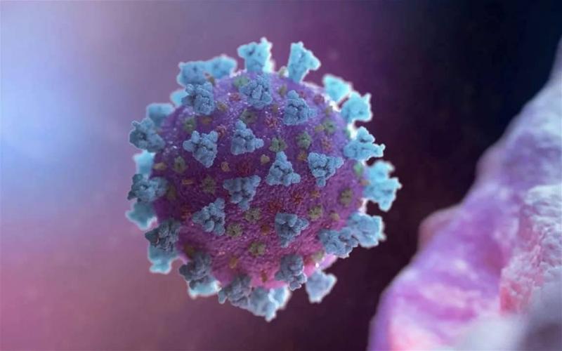 متحور جيه.إن1 يمثل نحو 62٪ من إصابات كورونا في أميركا