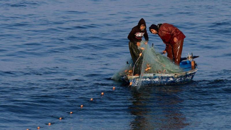 صيادو غزة يتحدون القذائف لإطعام أسرهم من فتات البحر