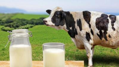 طعام كنا نتناوله ليلاً للتخسيس يصيب بالسكري والسمنة