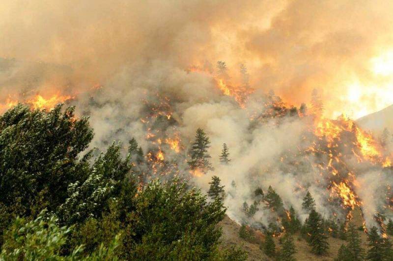 مقتل 10 على الأقل في حرائق الغابات في تشيلي