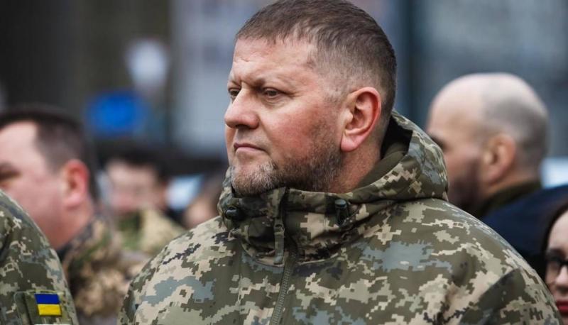 الرئيس الأوكراني يقيل الجنرال الحديدي