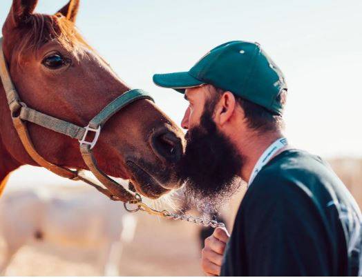 عشاق الفروسية على موعد مع كأس خادم الحرمين بالسعودية
