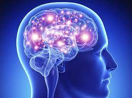 دراسة تكشف مفاجأة عن الدماغ والنسيان