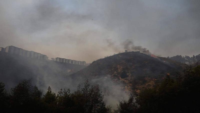 حرائق الغابات تخلف عشرات القتلى في تشيلي
