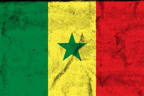 إيكواس تدعو السنغال إلى تحديد موعد جديد للإنتخابات الرئاسية