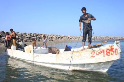معاناة الصيادين في اليمن تزداد مع تصاعد الهجمات في البحر الأحمر