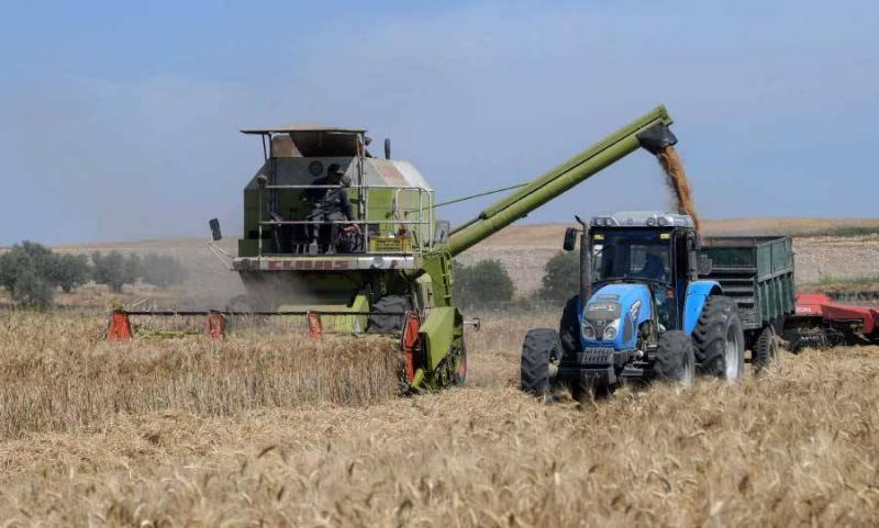 تغير المناخ يدفع تونس الى أنواع بديلة من القمح