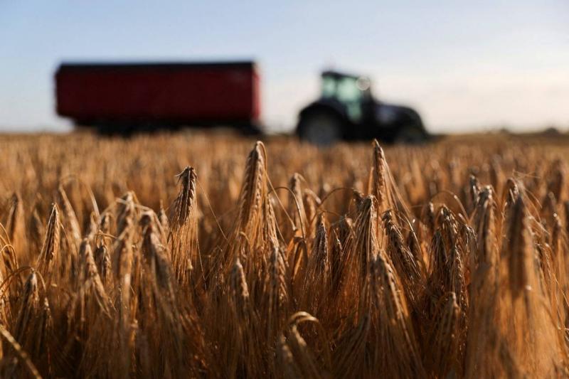 الزراعة الأوكرانية: محصول الحبوب قد ينخفض 4-5%