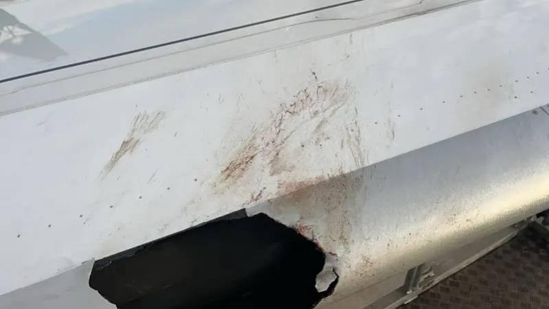 إصطدام طائر بجناح طائرة الخطوط السعودية