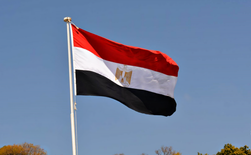 مصر تكشف عن سلع بمليارات الدولارات مكدسة بالموانئ