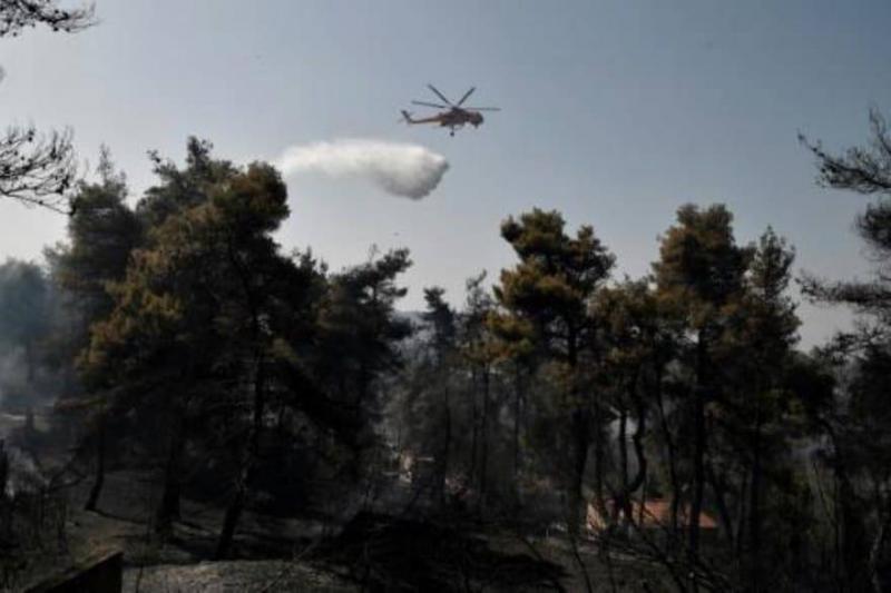 حريق غابات يهدد منازل قرب أثينا