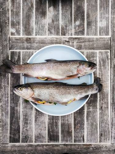 عدم تناول الأسماك الزيتية بانتظام قد يقصر معدل العمر أكثر من التدخين