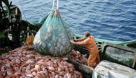 إلغاء إتفاقية لصيد الأسماك بين المغرب وأوروبا