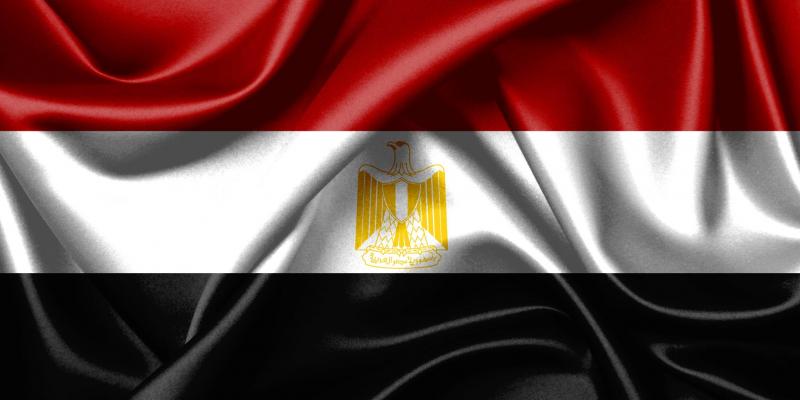 مصريان يخدعان المواطنين ببيعهم لحوم الخيل