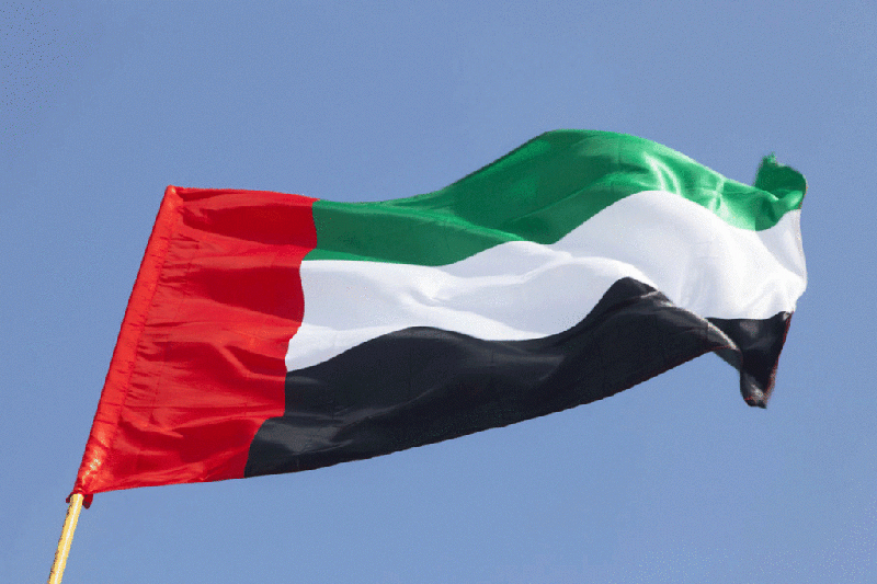الإمارات الأولى في تقرير المرصد العالمي لريادة الأعمال 2024
