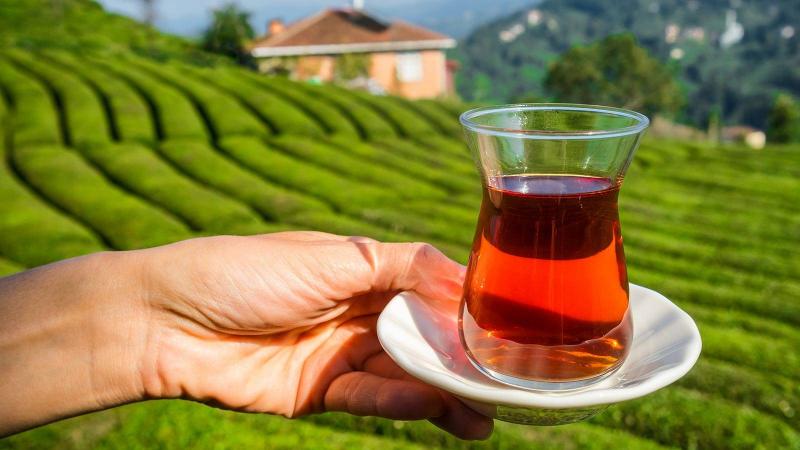 متى يكون الشاي ضارًا؟
