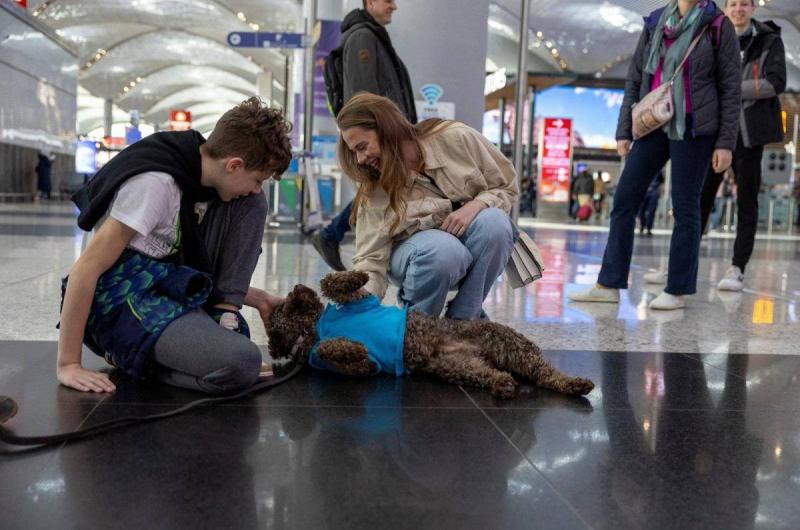كلاب لطيفة في مطار إسطنبول لتهدئة الركاب الذين يعانون من رهاب السفر (فيديو)