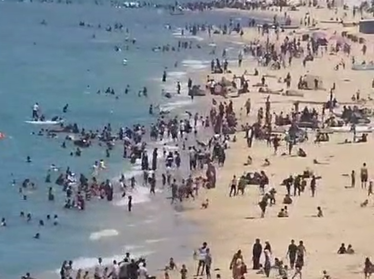 زحمة على شاطئ غزة في يوم مشمس (فيديو)