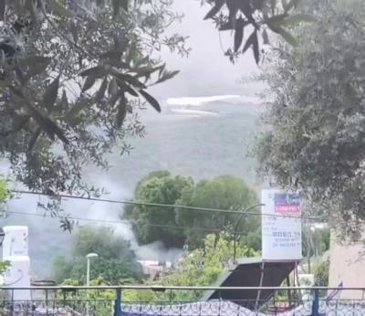 بالفيديو- 