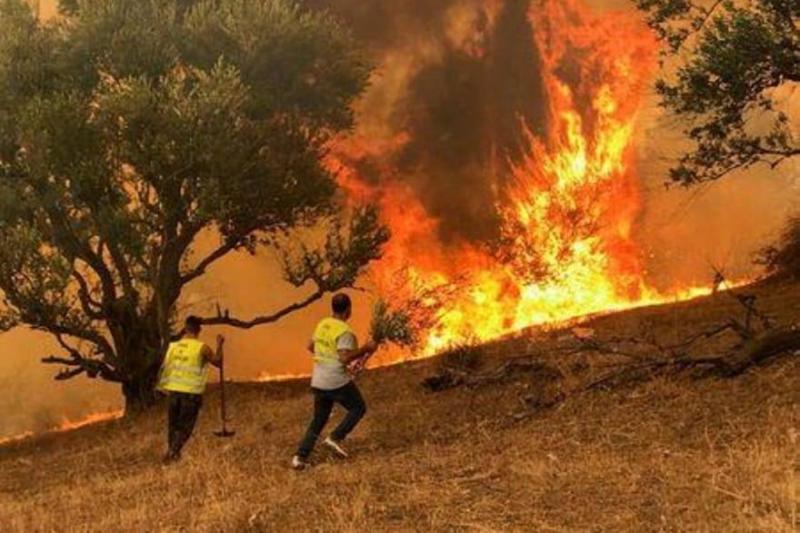 الجزائر تتهم مجموعة تقول إن لها صلات بالمغرب وإسرائيل بإشعال حرائق غابات