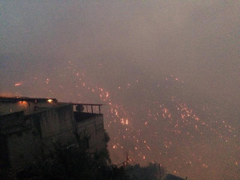 مصرع أربعة وإصابة ثلاثة بحرائق غابات في الجزائر
