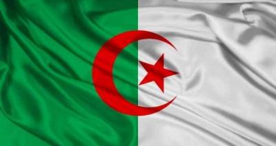 في الجزائر… شاب يطعن شقيقته بخنجر خلال بث مباشر