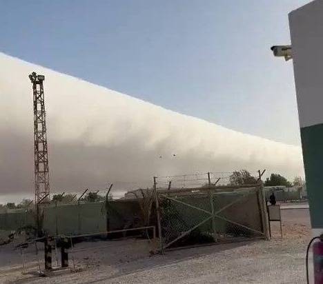 بالفيديو..