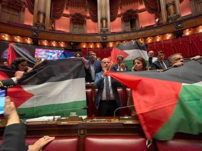 في فرنسا وإيطاليا.. نواب يرفعون علم فلسطين خلال انعقاد ‏البرلمان ‏