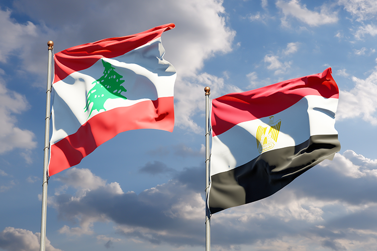 مصر ولبنان يبحثان تسهيل دخول الصادرات بين البلدين